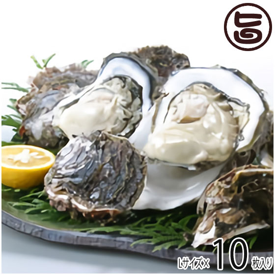 期間限定 隠岐のいわがき Lサイズ 10枚入り 3月から6月まで 島根県 新鮮 魚介類 人気 贅沢 タウリン カルシウム ビタミンB12