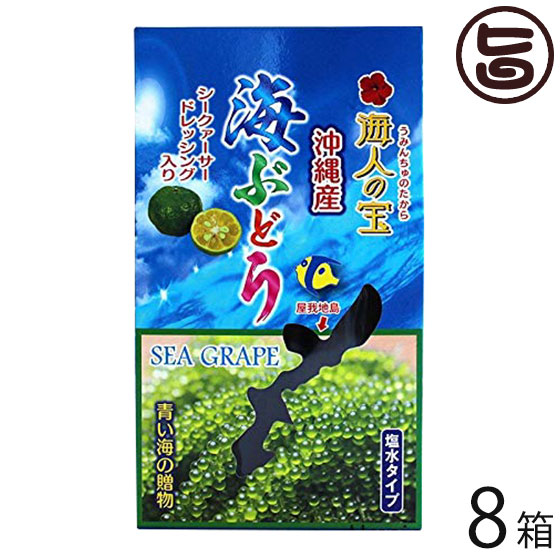 漁業者の和氏の璧 塩水型 沖縄創製 大海ぶどう 100g 8函 沖縄 現行 一般受け 海藻 ぷちぷち食べること想いの海ぶどう シークヮーサー果汁立入りのタレ幸せ 貨物輸送無料 Troiscollines Com
