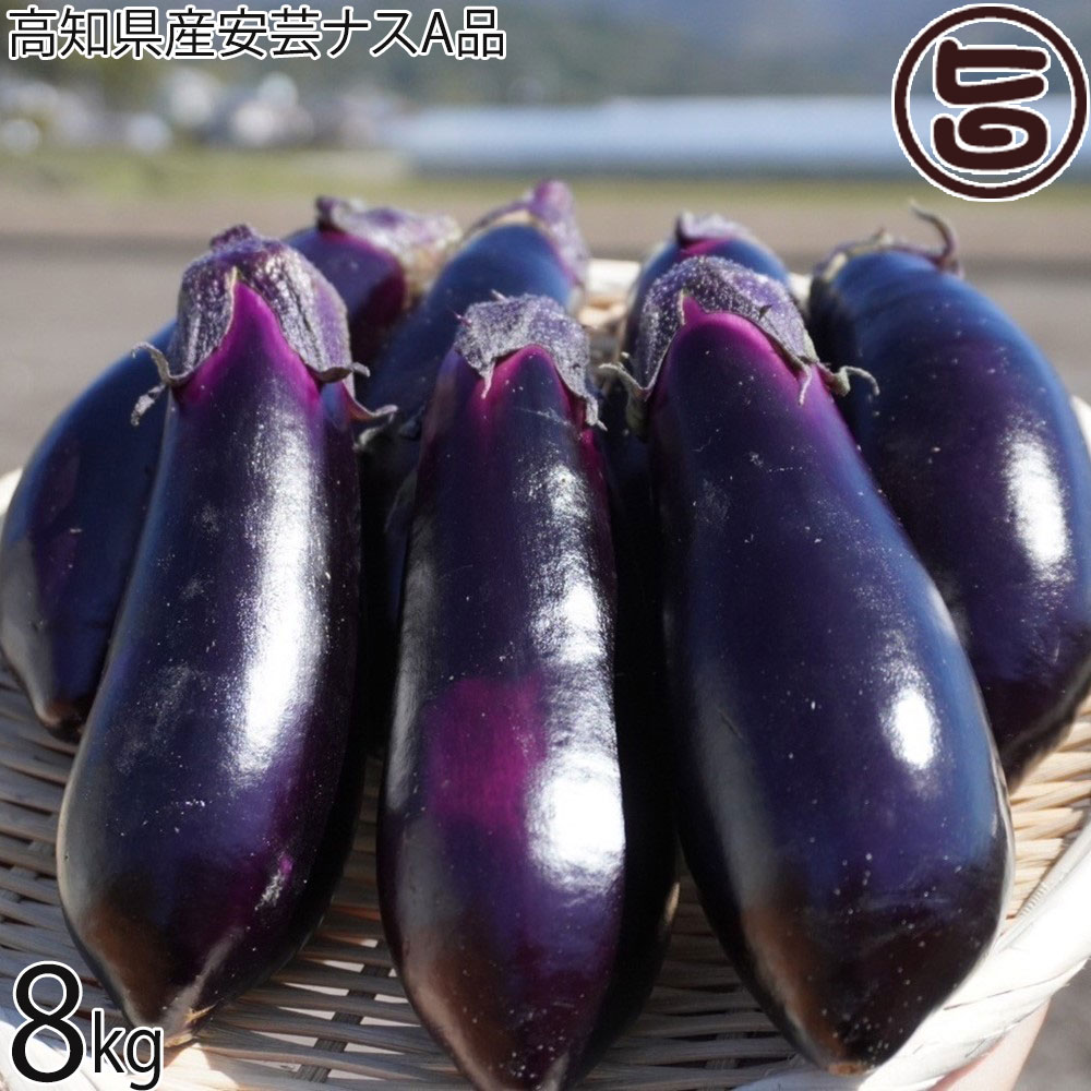 高知県産安芸ナスA品 8kg