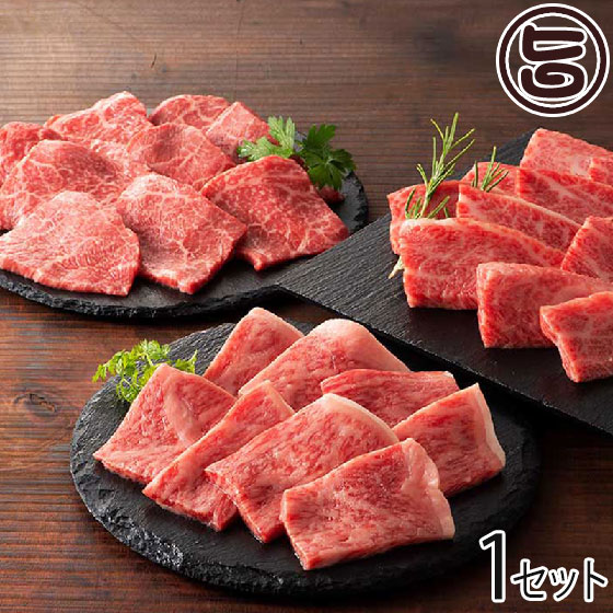ギフト フジチク 藤彩牛BBQセット A4-A5 藤彩牛 ロース カルビ モモ焼肉用 各200g 九州産 黒毛和牛 さっとあぶり焼く感覚で お取り寄せ 贈り物 お祝い|旨いもんハンター