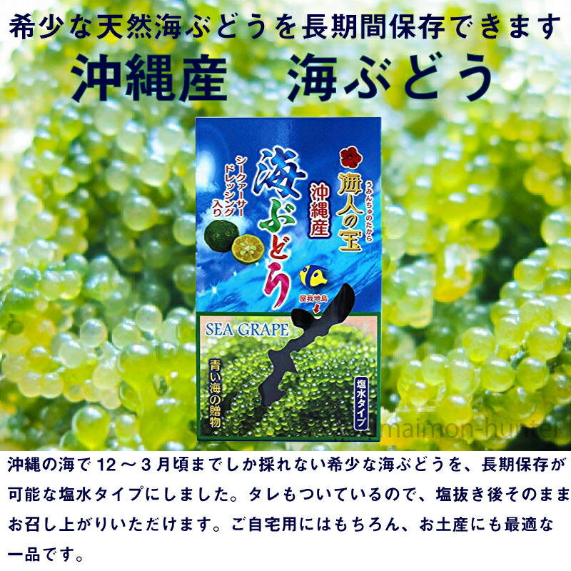 市場 海人の宝 人気 沖縄産 100g×8箱 沖縄 塩水タイプ 海藻 海ぶどう 土産 ぷちぷち食感の海ぶどう