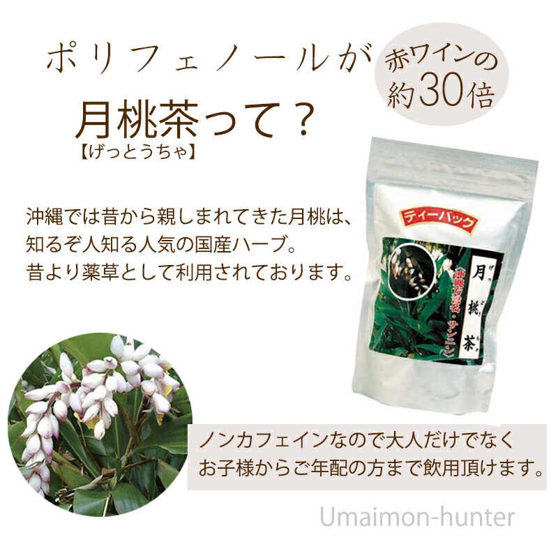 高品質】 比嘉製茶 月桃茶 ティーバッグ 20袋入り×15袋 沖縄 土産 人気 健康茶 無農薬 げっとう 沖縄方言でサンニン 一部地域追加送料あり  fucoa.cl