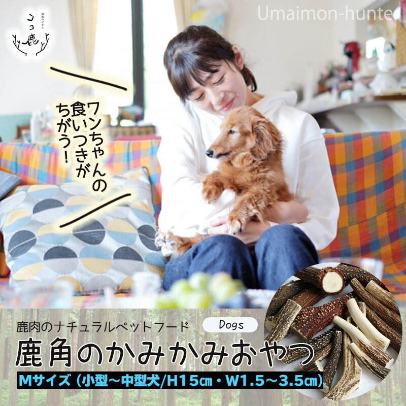 但馬の狩猟肉 ココ鹿 本州鹿の角 M大きさ 3p 兵庫県 人気 戴物 リアルらっぱフード 緊張截ち切る 同化作用 前提条件ツキ送料無料 スプロケットと顎骨を鍛え 歯垢 歯石カット 口臭止めること Newleafdesigns Nl