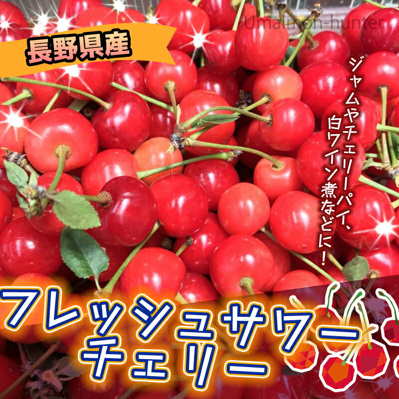 長野県産 フレッシュサワーチェリー 1kg バラ詰め スーパーフード 希少 スムージー ジャム チェリーパイ お菓子づくり 条件付き送料無料 septicin Com