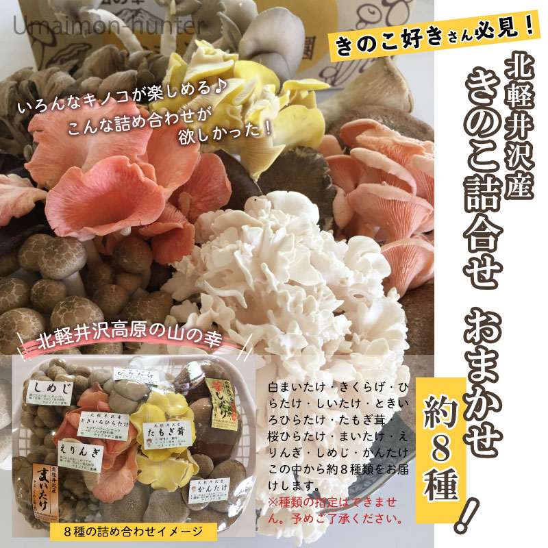 グランジャ 北軽井沢 おまかせ きのこ詰合せ 一部地域追加送料あり 広葉樹のおがくずのみ使用したキノコ栽培 約8種 群馬県 超安い品質 きのこ詰合せ