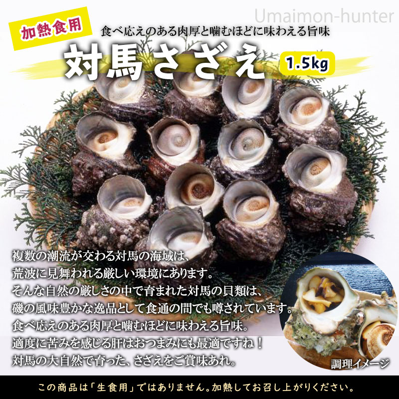 市場 ギフト うえはら株式会社 1 5kg 長崎対馬産 対馬さざえ