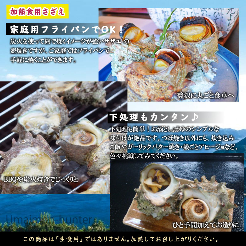 市場 ギフト うえはら株式会社 1 5kg 長崎対馬産 対馬さざえ