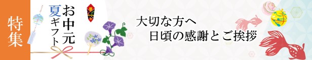 訳あり品送料無料 一部地域追加送料あり 大宜味産シークヮーサー使用 シークワサー