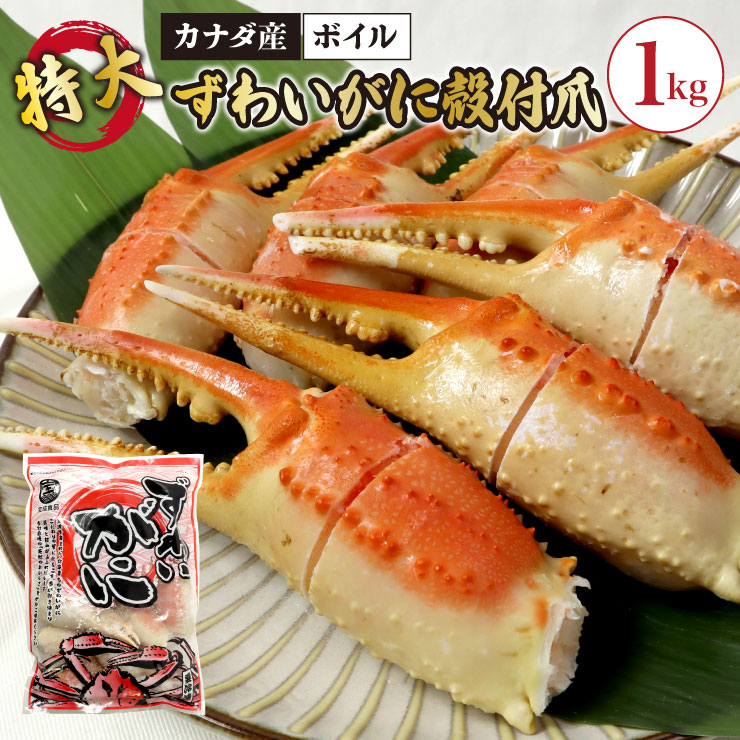 送料無料 ボイル 特大ずわいがに殻付爪1kg(11～19粒) リングカット入  ※便利な個別冷凍 ズワイ ずわい カニ 蟹 贅沢 豪華 フライ 酢の物 焼き 本ズワイ BBQ バーベキュー 年末 贈り物 カナダ 爪 かに しゃぶしゃぶ 鍋