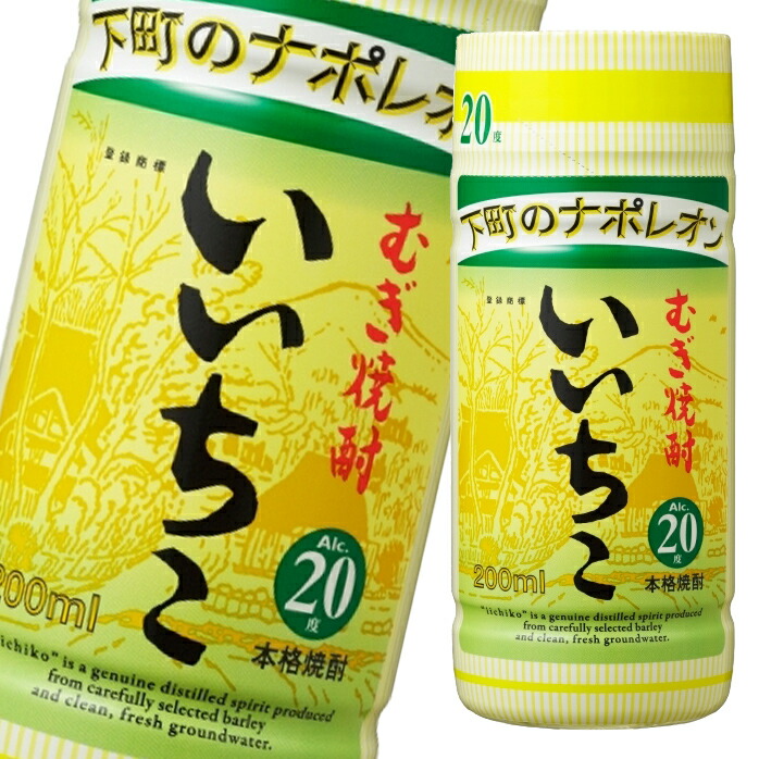 いいちこ　2ケース いいちこ25度 いいちこ 焼酎 20度 1.8L パック 2本 セット 1800ml 麦