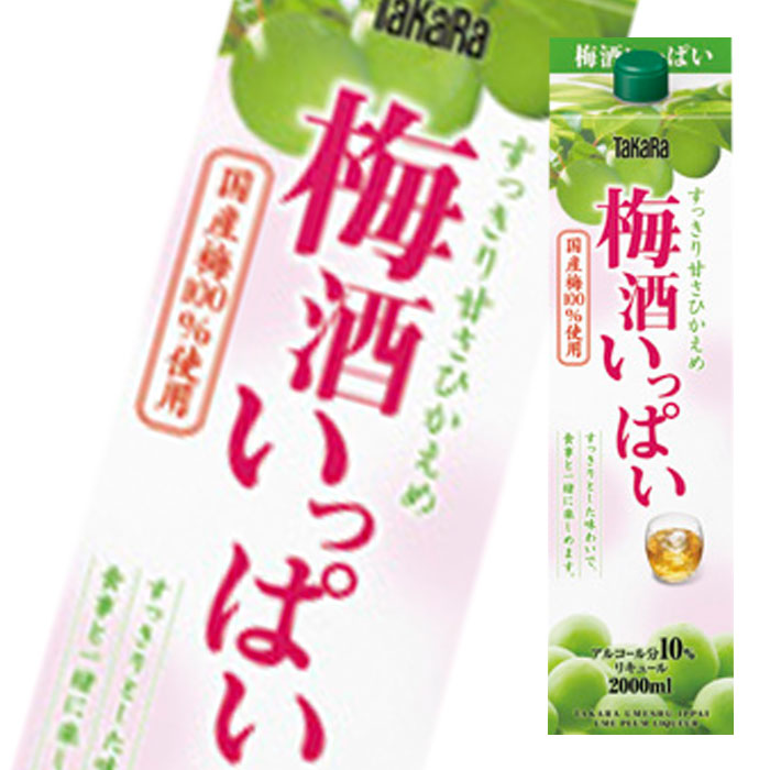 宝酒造 TaKaRa 梅酒いっぱい2L紙パック×2ケース（全12本） 送料無料