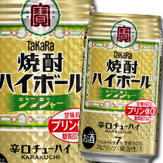 宝酒造 焼酎ハイボール ジンジャー350ml缶×2ケース（全48本） 送料無料