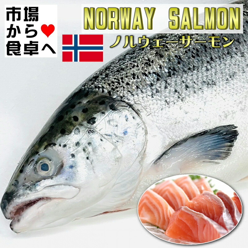 楽天市場】『無凍結！ノルウェー産生アトランティックサーモン柵