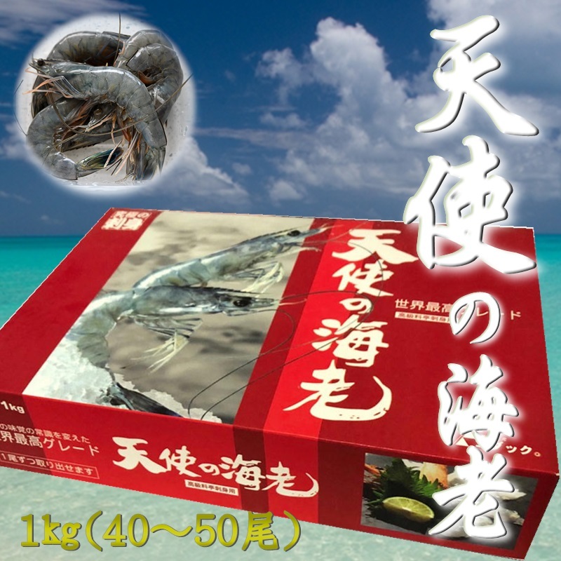 天使の海老  1kg約50尾 刺身用 【 天国に一番近い島の海老 】 旨味・甘味が断然違います 【冷凍便】