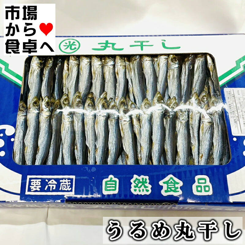 Amazon.co.jp: うるめいわし丸干し 上乾 1㎏【鹿児島県産】炙っ