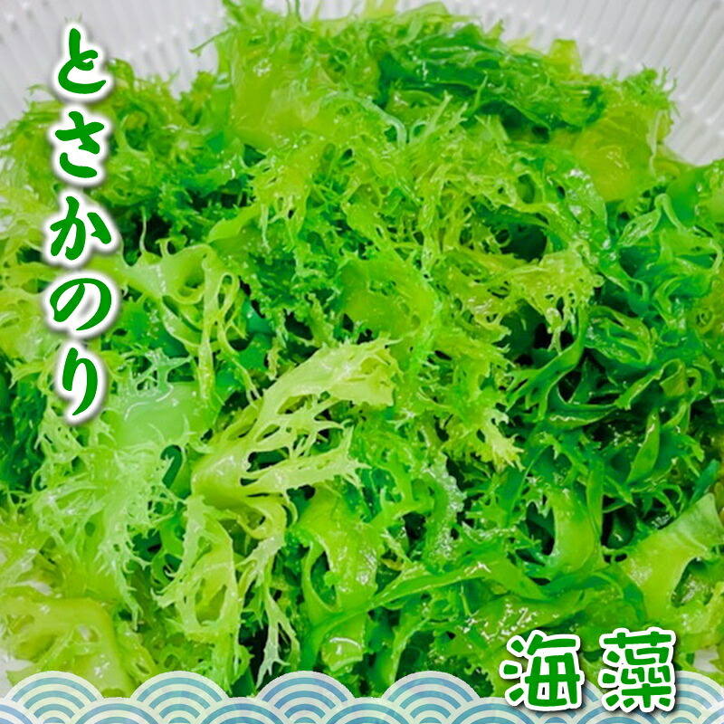 【楽天市場】青 とさか のり 20袋入り（500g×20）業務用【日本業務】 国内産天然海藻・着色料不使用 ・刺身のつま、料理の付け合わせに ...