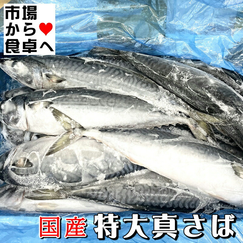 真さば ラウンド冷凍 業務用 10kg入り(約15尾～)【国内産特大さば・脂があります】おいしい季節の鯖を冷凍しました！【冷凍便】