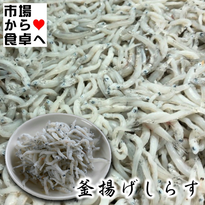 楽天市場】ちりめん ・ かちり 干し 1ｋｇ 【 国内産 】 毎日小魚を食べよう！ 【冷凍便】 : うまいもの 楽天市場店