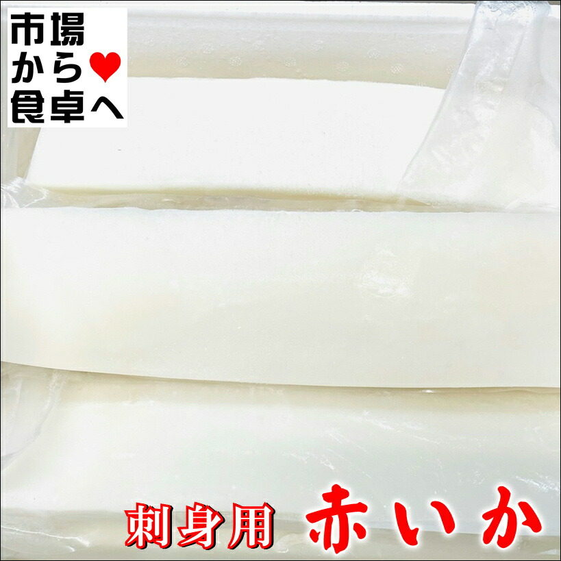 赤いか (ソデイカ) 刺身用 5kg【肉厚・国内産】刺身、寿司種、フライ、バター焼きに【冷凍便】