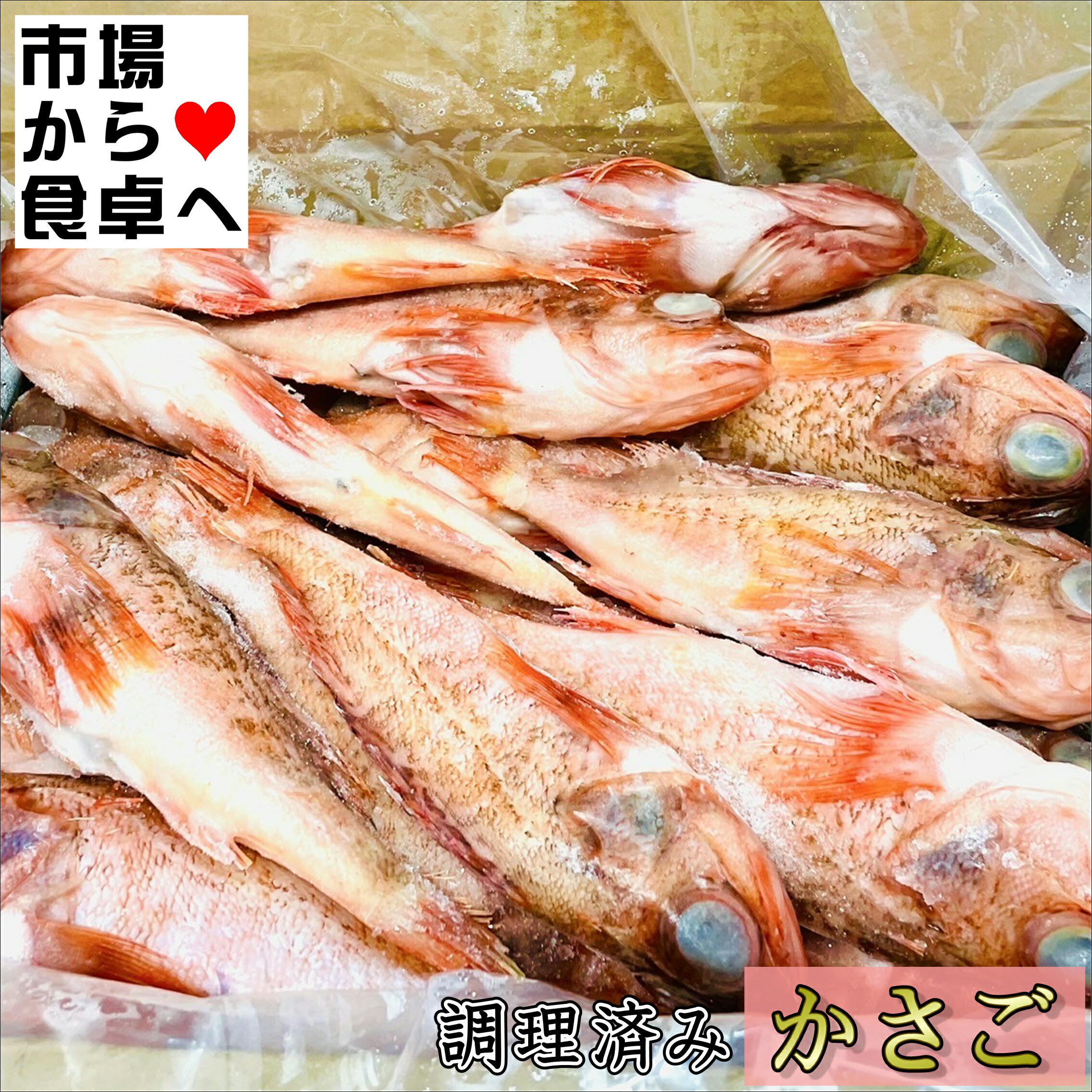 かさご アラカブ5kg(25尾入り)【セミドレス・エラ、ウロコ、内臓取り】煮付け・塩焼き・から揚げに【冷凍便】