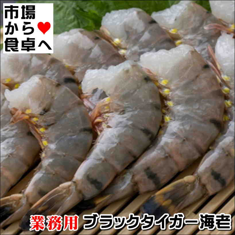 塩笥 盃 筒盃 酒器 蓋 白磁 秦秀雄 白洲正子 斎藤靖彦 坂田和實 大久保裕司