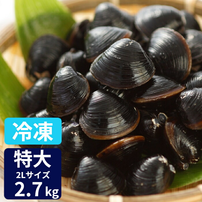 特大 冷凍 しじみ 送料無料 砂抜き済み 宍道湖産 2Lサイズ 2.7ｋg（900ｇ×3） 漁師直送 島根県 シジミ 味噌汁 用 蜆 しじみ 汁 お吸い物 ヤマトシジミ 贈答 贈り物 国産 天然 ギフト オルニチン 亜鉛 クラムチャウダー 二日酔い 父の日 高級 お鍋 貝 産直 グルメ 大竹屋
