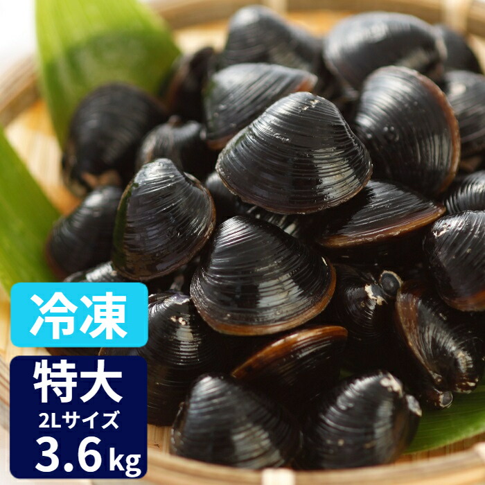 特大 冷凍 しじみ 送料無料 砂抜き済み 宍道湖産 2Lサイズ 3.6kg(900g×4) お取り寄せ 冷凍しじみ 漁師直送 島根県 シジミ 味噌汁 用 蜆 汁 お吸い物 ヤマトシジミ 贈答 贈り物 国産 天然 ギフト オルニチン 亜鉛 クラムチャウダー 二日酔い 高級 お鍋 貝 産直 グルメ 大竹屋