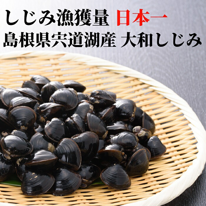 66%OFF!】 大粒 冷凍 しじみ 送料無料 砂抜き済み 宍道湖産 Lサイズ 9kg 900ｇ×10 漁師直送 島根県 シジミ 味噌汁 用 蜆 汁  お吸い物 ヤマトシジミ 贈答 贈り物 国産 天然 ギフト オルニチン 亜鉛 クラムチャウダー 二日酔い 父の日 高級 お鍋 貝