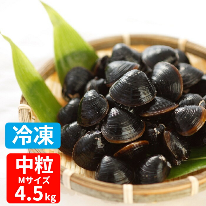 【関東〜九州エリア送料無料】大和しじみ（宍道湖産）S 約400粒入 1kg×6 生鮮 島根県宍道湖産大和しじみ Mサイズ（12㎜～13㎜）1㎏