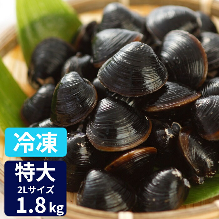 特大 冷凍 しじみ 送料無料 砂抜き済み 宍道湖産 2Lサイズ 1.8ｋg（900ｇ×2）  漁師直送 島根県 シジミ 味噌汁 用 蜆 しじみ 汁 お吸い物 ヤマトシジミ 贈答 贈り物 国産 天然 ギフト オルニチン 亜鉛 クラムチャウダー 二日酔い 父の日 高級 お鍋 貝 産直 グルメ 大竹屋