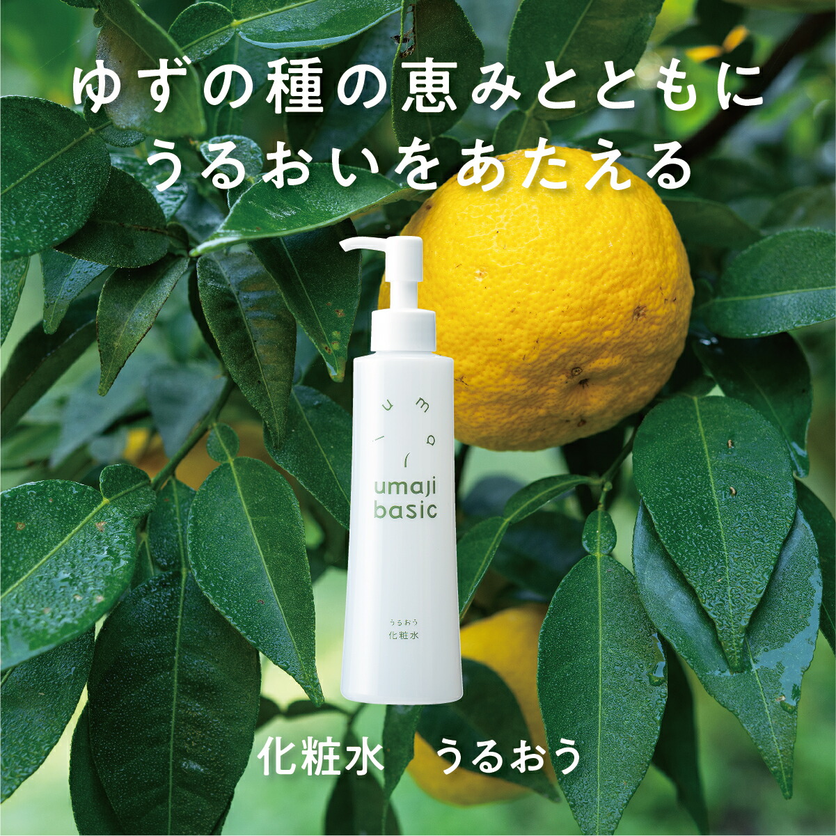 楽天市場】【馬路村農協 公式】umajiはじまるスペシャルセット