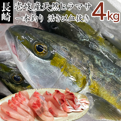 楽天市場 H 壱岐産天然ヒラマサ 4kg 鮮魚 ひらまさ 最高級青背魚 平政 マサギ ヒラソ ひらす ヒラス まるごと１本 丸物 丸もの 丸魚 刺身 お茶漬け 手巻き 寿司 塩焼 三枚おろし 3枚おろし 下処理代 無料 壱岐 長崎 うまかもん屋