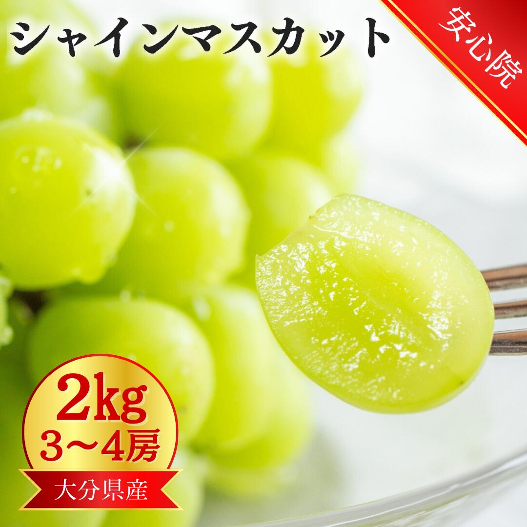 楽天市場】【セール中45％オフ】シャインマスカット 安心院産 3