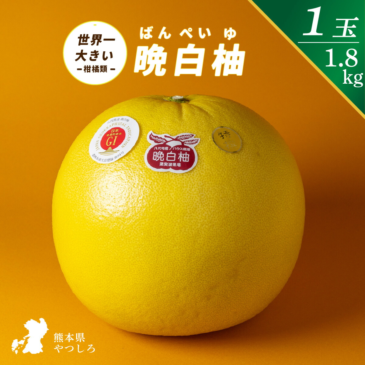 楽天市場】晩白柚 ばんぺいゆ ザボン ざぼん 熊本県産 2玉 3.2kg L