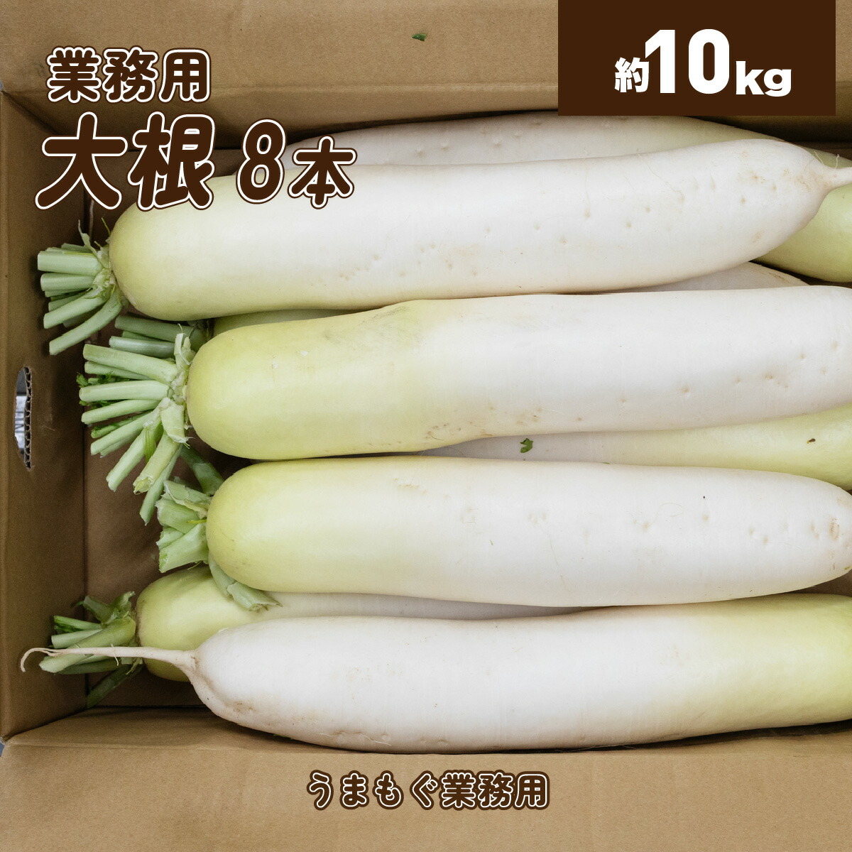 楽天市場】【送料無料】北海道産 帯広 大正だいこん Lサイズ 8本入り