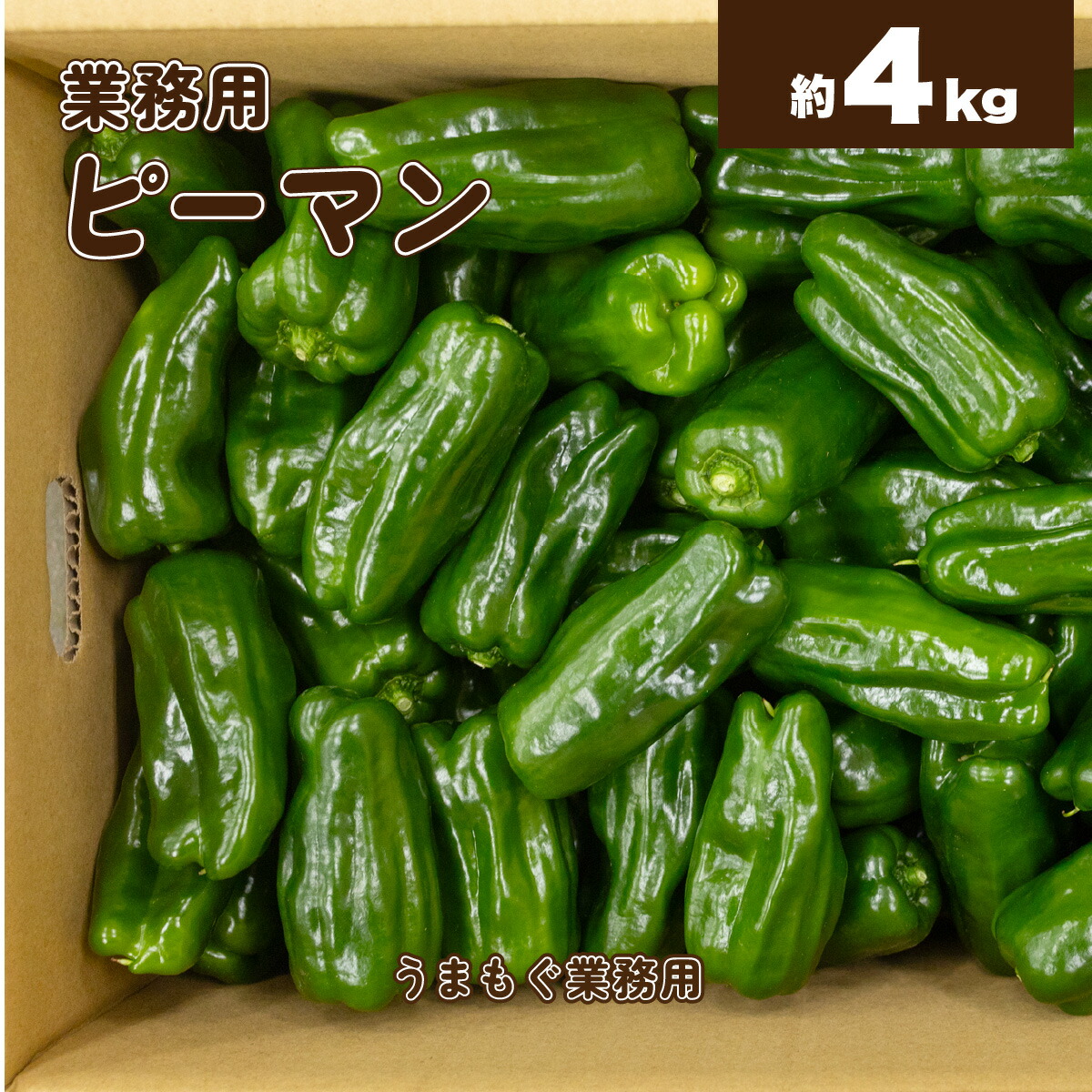 楽天市場】国産 ピーマン 約500g前後 JGAP認証商品 さかうえ 野菜