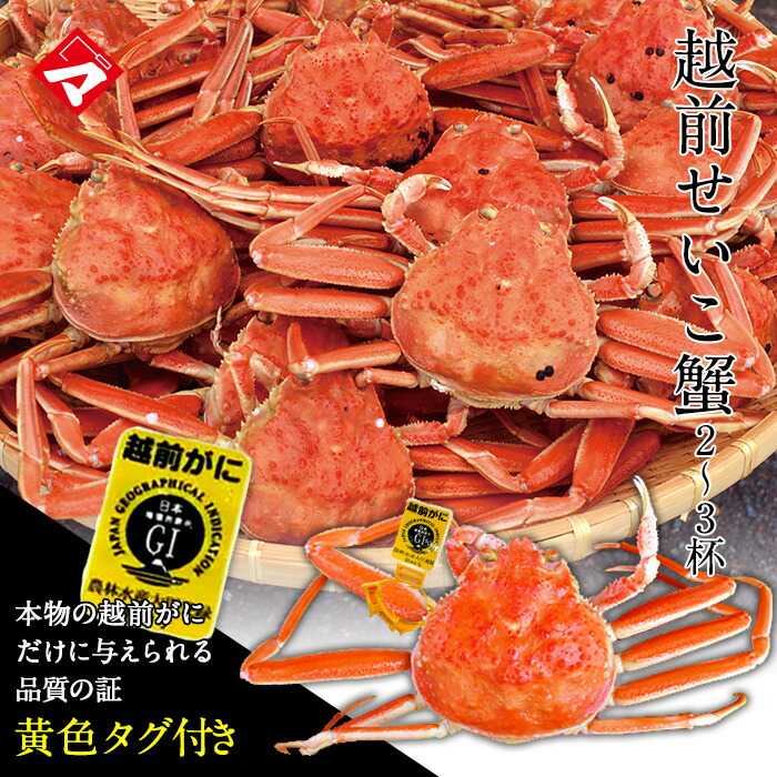 【2セット購入で1匹プレゼント】送料無料・越前せいこ蟹（せこがに）特大2杯または大3杯入 福井から茹でたて直送！ セコガニ せいこがに 越前かに ずわい蟹のメス 保冷容器込み  [_216926_]【NE】