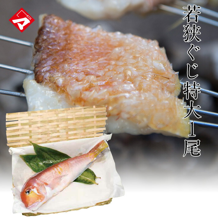 【ご贈答仕様ビニールカゴ入・冷蔵タイプ】若狭ぐじ（甘鯛 あまだい） の一汐・特大　約30cm１尾 満天青空レストランで紹介