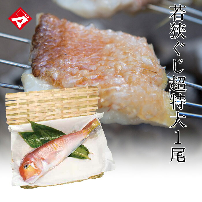 完全受注【料亭ご用達】【ビニール籠入・冷蔵タイプ】最上級若狭ぐじ(甘鯛・あまだい)・極の一汐・超特大 満天青空レストランで紹介【NE】 8,760円