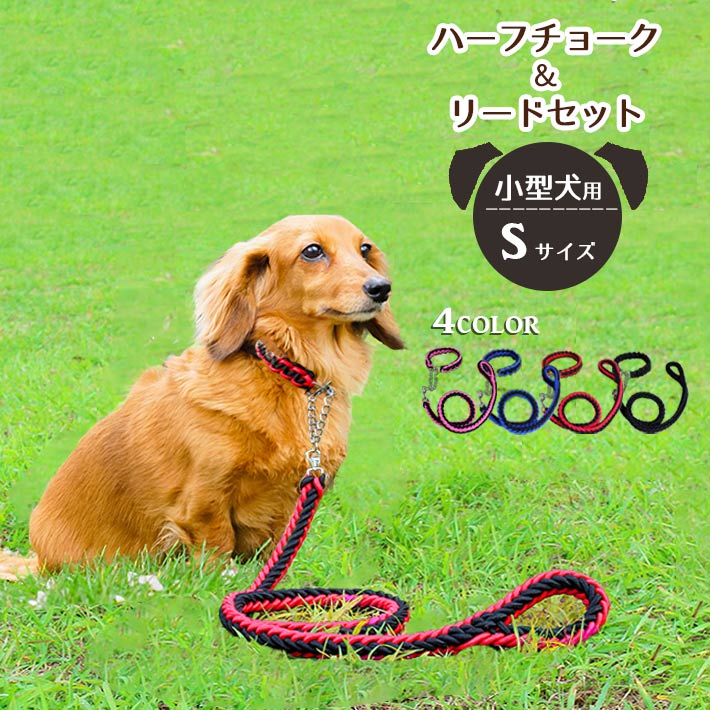 小型犬 首輪 ハーフチョーク (リード付き)Sサイズ 丈夫な編み紐・チェーンタイプ
