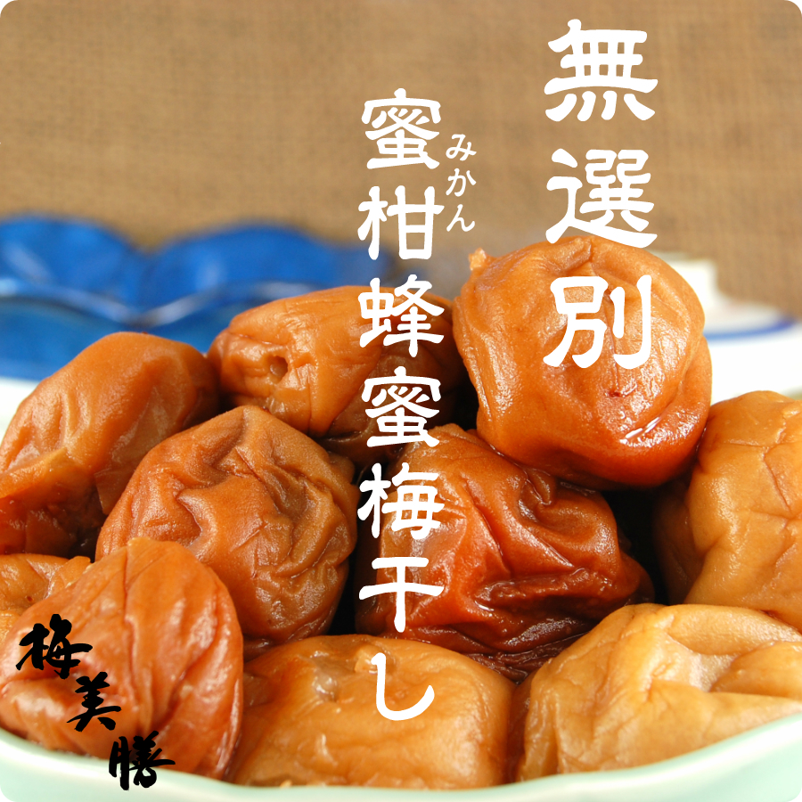紀州種抜き白干し梅 100％果肉　無添加　み無選別　10kg 訳あり 無添加・無着色 紀州南高梅白干梅 10kg 完熟梅 昔ながら