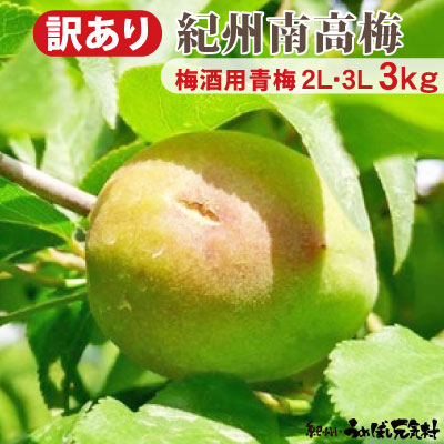 楽天市場】予約販売 【 訳あり キズあり 青梅 】 2kg 送料無料 楽天市場】予約販売 【 訳あり キズあり 青梅 】 2kg 送料無料