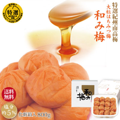 清代　梅枝急須（箱付き） 清代 梅枝急須（箱付き） おひとり様で楽しむお茶セット「しまい