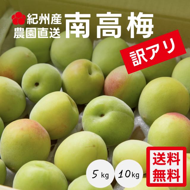 楽天市場】【先着順クーポン】南高梅 1kg,2kg,5kg,10kg by 梅