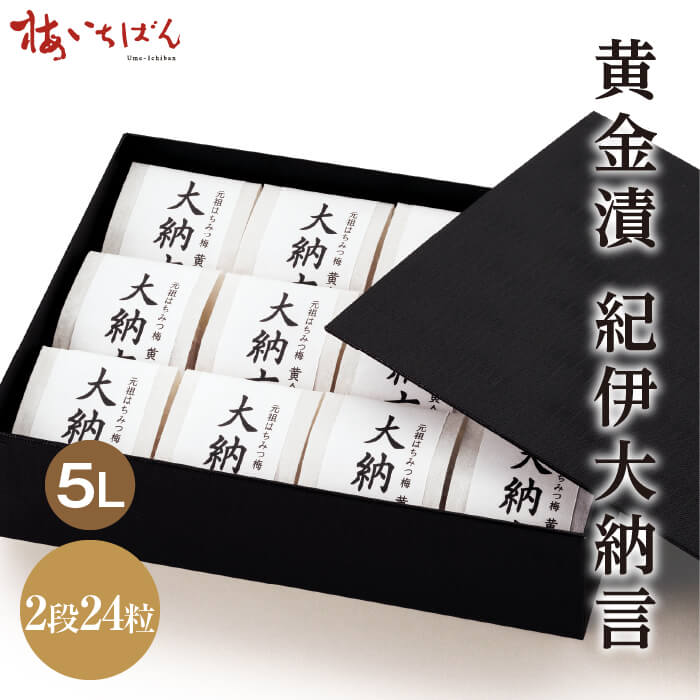 【紀州南高梅使用】紀伊大納言 12粒・24粒・36粒 高級貼箱入 ギフト｜黄金漬 5L 個包装 はちみつ梅 ｜贈答ギフトに最適