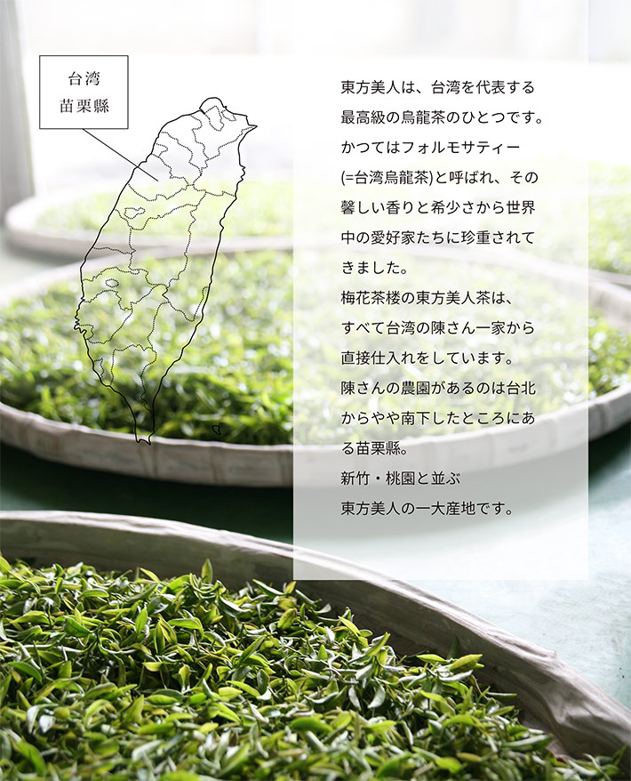 楽天市場 ギフト ハイクラス台湾茶 東方美人茶 極品薫 25g 専用箱入り 産地 茶農家限定生産 紅茶好きなあなたへ 台湾茶とシノワ雑貨 梅花茶楼