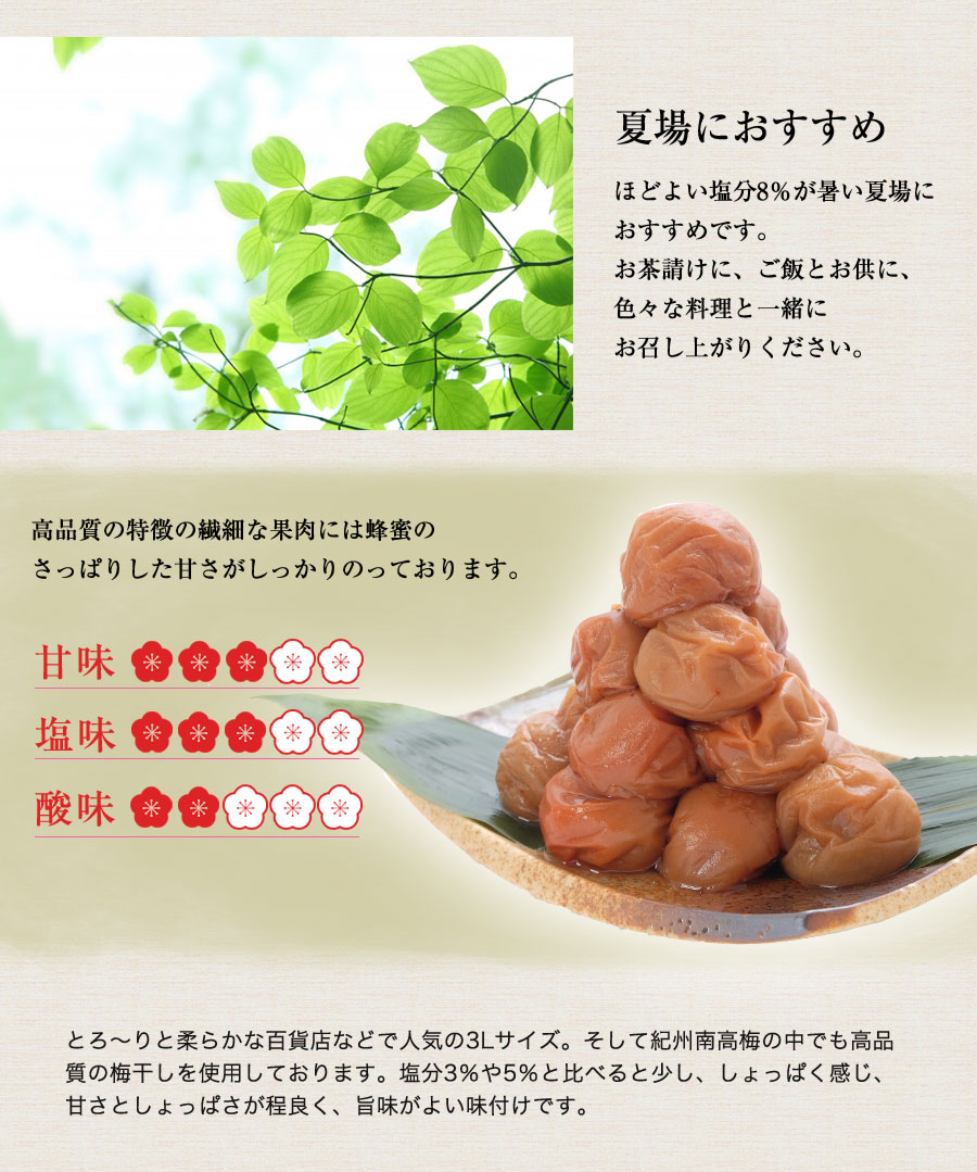 いいスタイル ＼はちみつ漬け 梅干し 塩分8% 400g 紀州南高梅 送料無料 但し北海道 沖縄県800円 www.vafost.org.vn