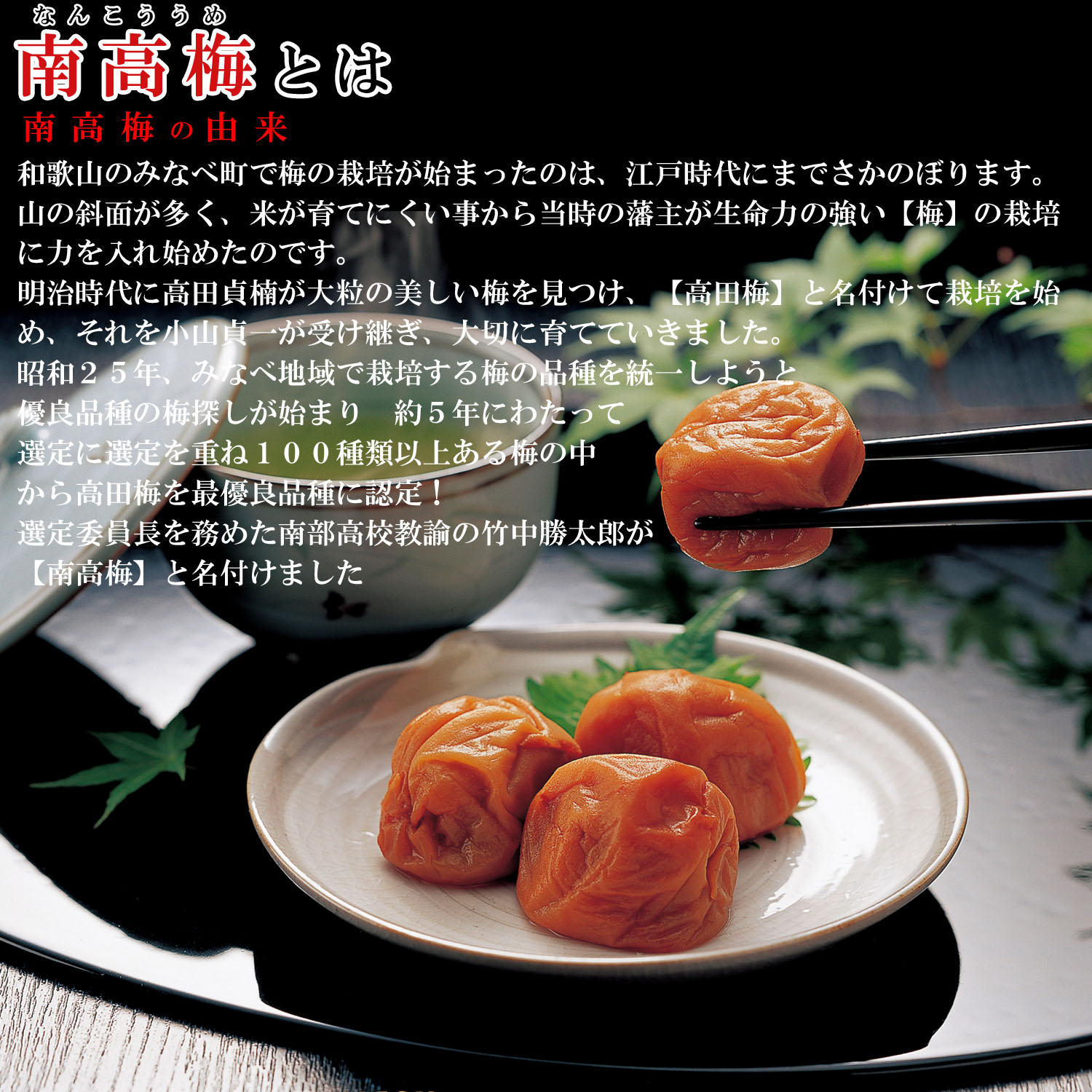 送料無料 梅干し 無添加 訳あり 白干し梅 1 2kg 今季も再入荷 400g 3個 昔ながらの梅干し 塩のみ 塩分 梅 国産 紀州南高梅 お茶漬け 梅干 熱中症対策 ご飯のお供 大粒 うめぼし お取り寄せグルメ 南高梅 わけあり