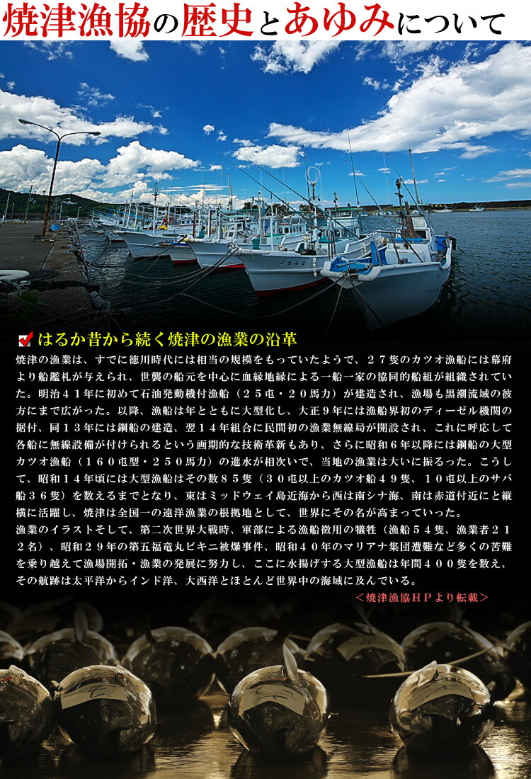 【送料無料】マグロ佃煮珍味まぐろ尾肉100g×3個まぐろ佃煮焼津港産マグロ佃煮ご飯のおかずおつまみごはんのおともお取り寄せグルメマグロ角煮しぐれ煮