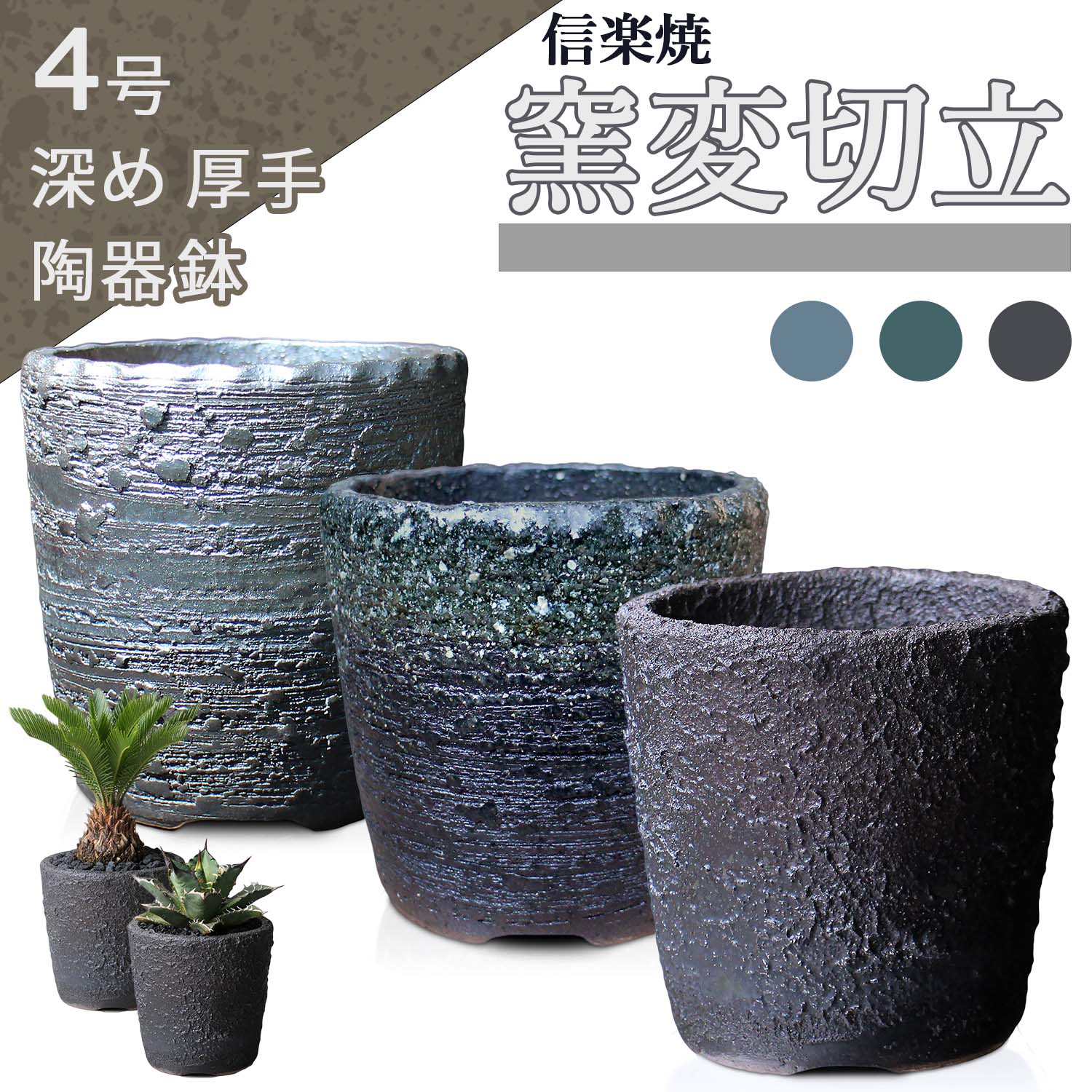 楽天市場】盆栽鉢 陶器 5号 深ソリ おしゃれ 専門店 金彩 黒 信楽焼